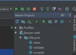 Intellij IDEA出錯(cuò)Cannot Resolve Symbol XXX 正確解決姿勢(shì)