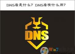 DNS盾是什么？DNS盾有什么作用？DNS盾怎么用？