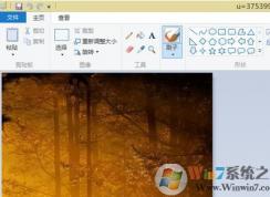 如何修改照片大小?win7系統(tǒng)修改照片大小的方法