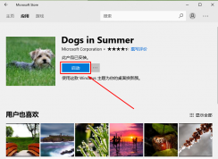 win10系統(tǒng)應(yīng)用商店下載的主題無法啟動(dòng)的解決方法