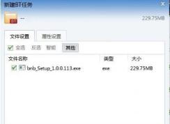 bt是什么意思？bt種子是什么文件？