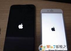 為什么有的iphone開機(jī)是黑蘋果？白蘋果和黑蘋果有什么區(qū)別