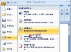 Word文檔加密:怎樣給Word文檔加密圖解