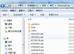 熱血無(wú)賴(lài)dlc怎么裝？熱血無(wú)賴(lài)dlc怎么用圖文教程
