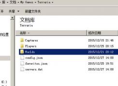 泰拉瑞亞存檔怎么用？泰拉瑞亞電腦版游戲存檔使用方法