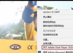 win10flash 版本在哪看？教你檢查flash版本號的查看方法