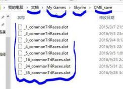 上古卷軸ece存檔怎么用？ece捏臉存檔用法