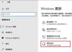 獲取不到Win10 1903推送怎么辦？檢測(cè)不到Win10 1903更新解決方法