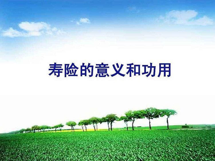 壽險的意義和功用ppt免費(fèi)模板
