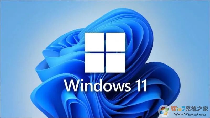 Win11家庭版和專業(yè)版有什么區(qū)別？Win11家庭版和專業(yè)版哪個好用？