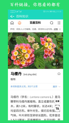 看圖識(shí)花 