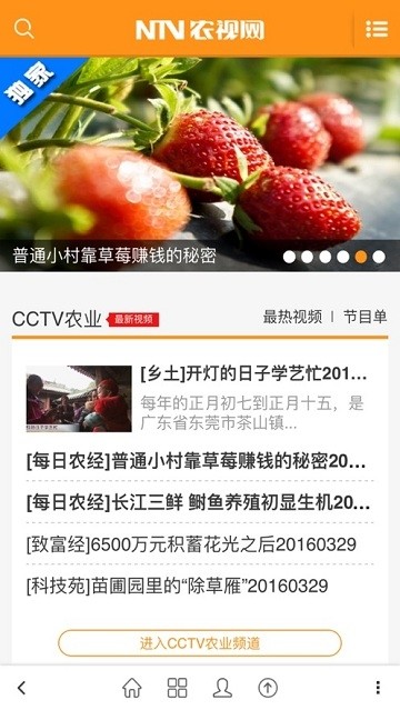農視網 