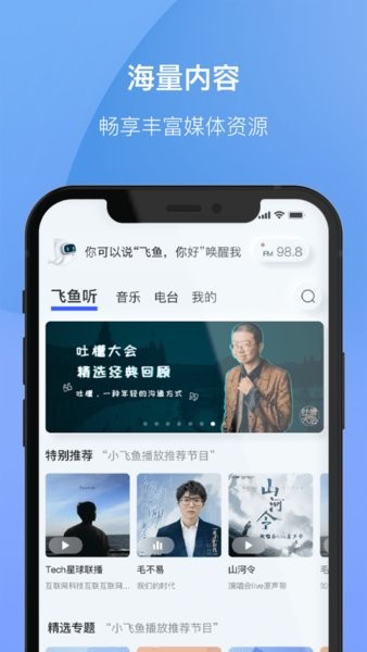 小飛魚(車載軟件)