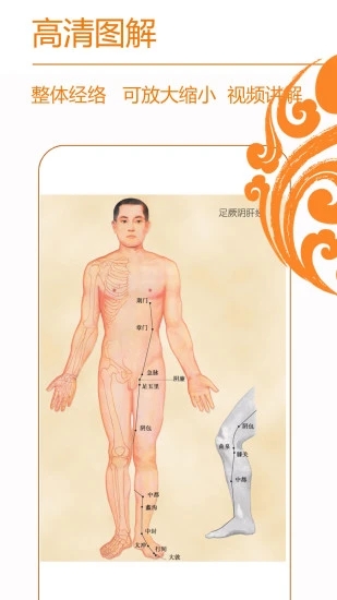 經(jīng)絡(luò)養(yǎng)生(人體穴位大全)