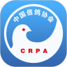 中國信鴿協(xié)會APP下載