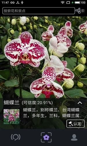 植物拍照識別