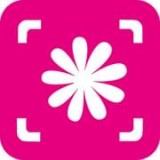 智能拍照識(shí)物APP