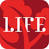 英樹(shù)管家APP