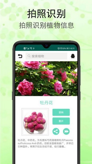 識(shí)花草