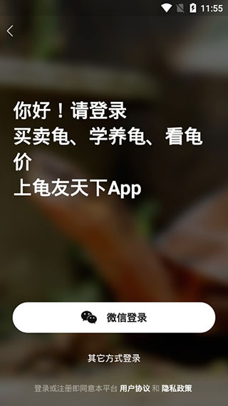 龜友天下