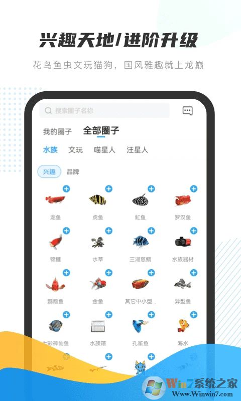 龍巔交易平臺(tái)