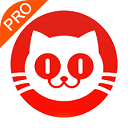 貓眼專業(yè)版app