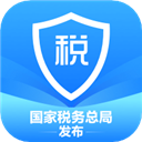 個(gè)人所得稅稅務(wù)平臺(tái)