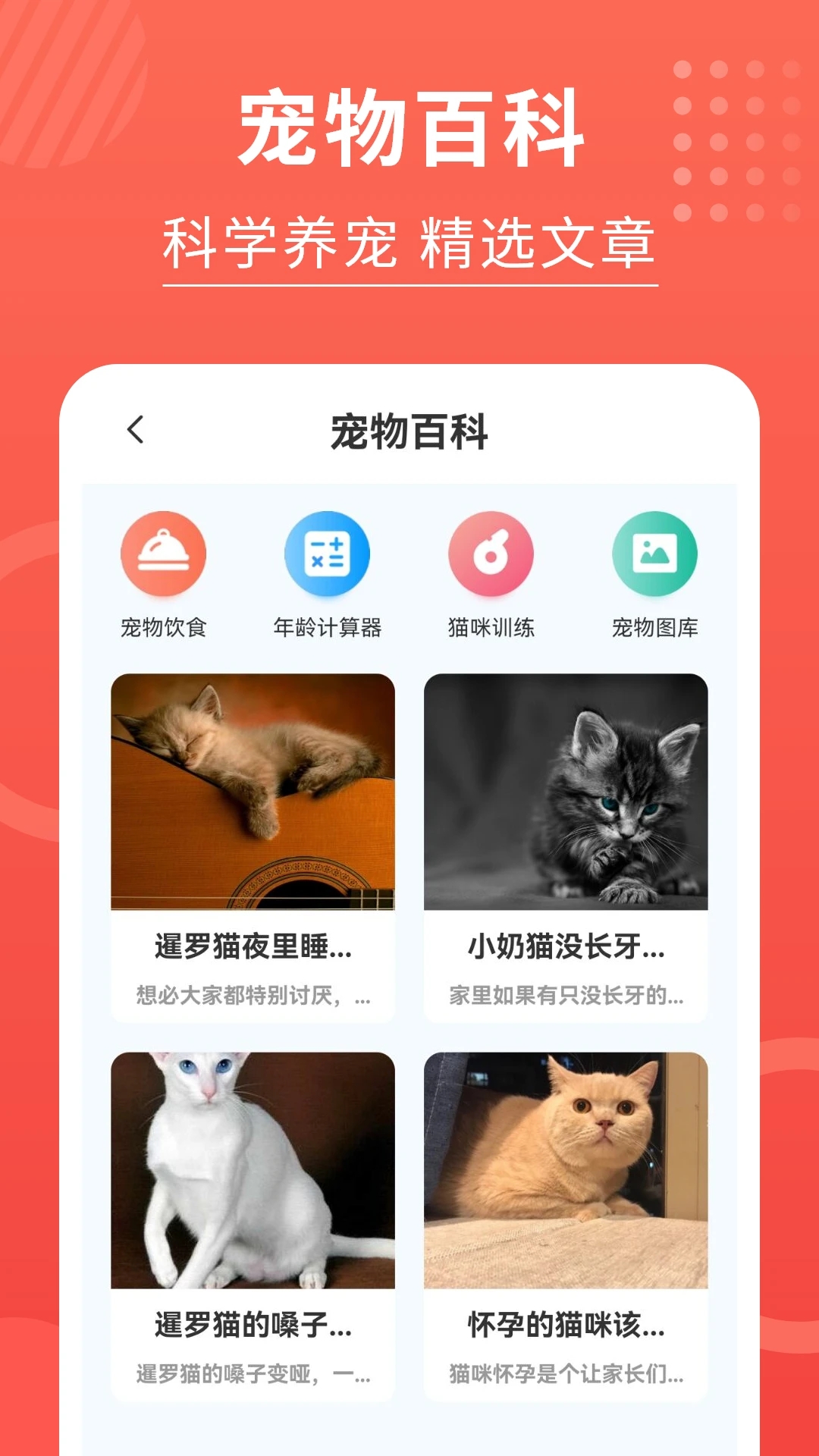 貓貓語言翻譯器