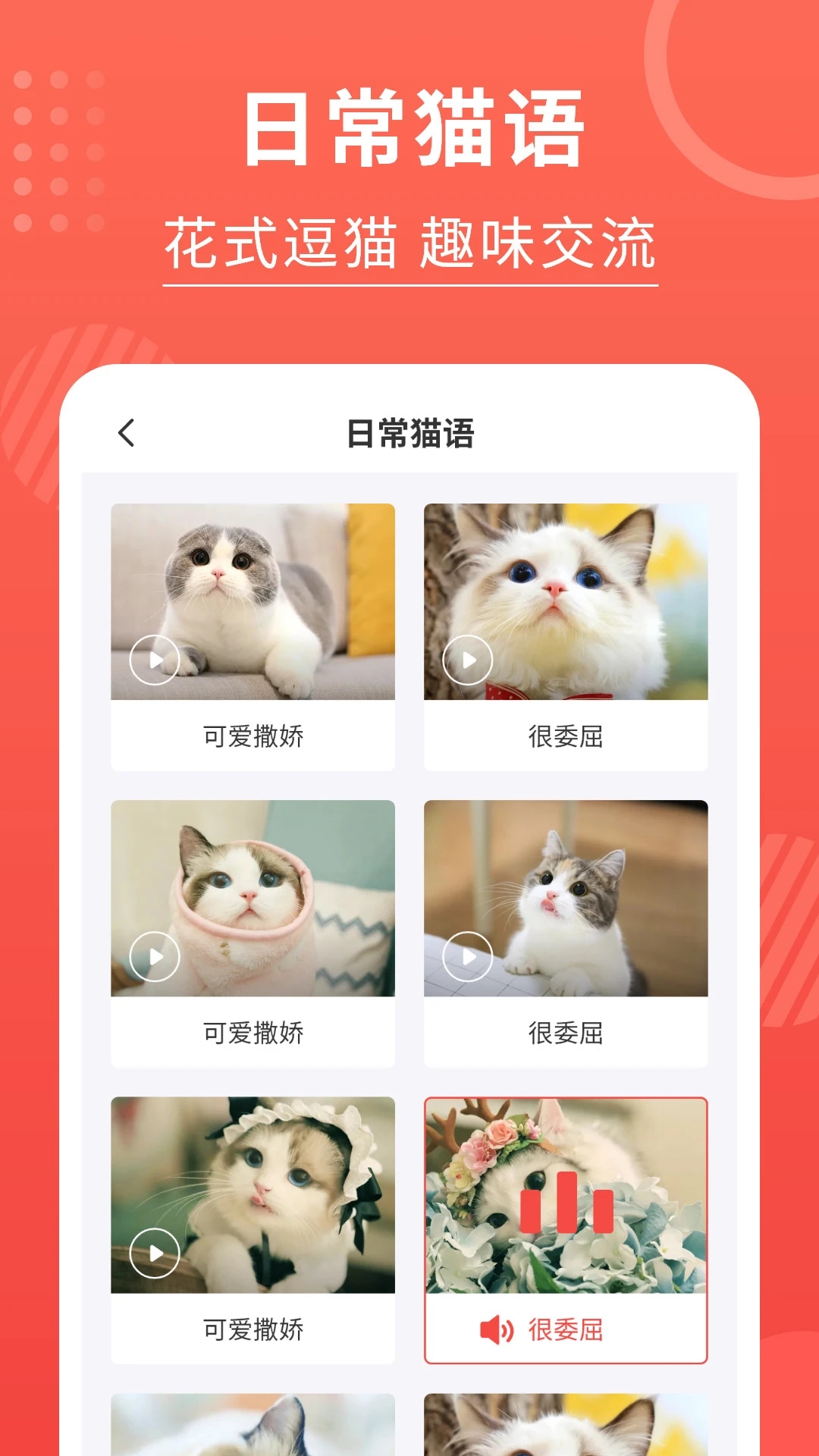 貓貓語言翻譯器