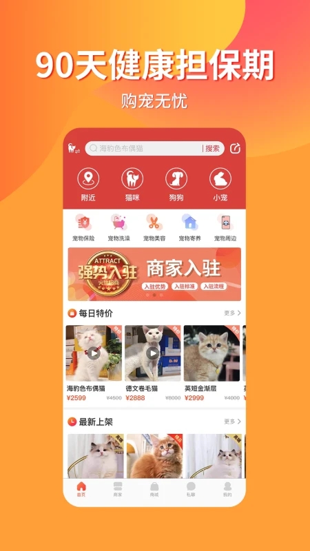 寵物擔(dān)保交易市場(chǎng)