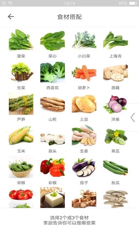 掌廚廚房菜譜