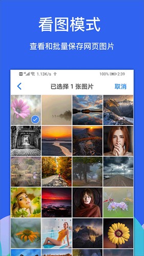 Alook瀏覽器官網(wǎng)版2024
