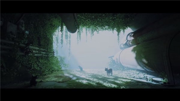 迷失stray八項(xiàng)修改器