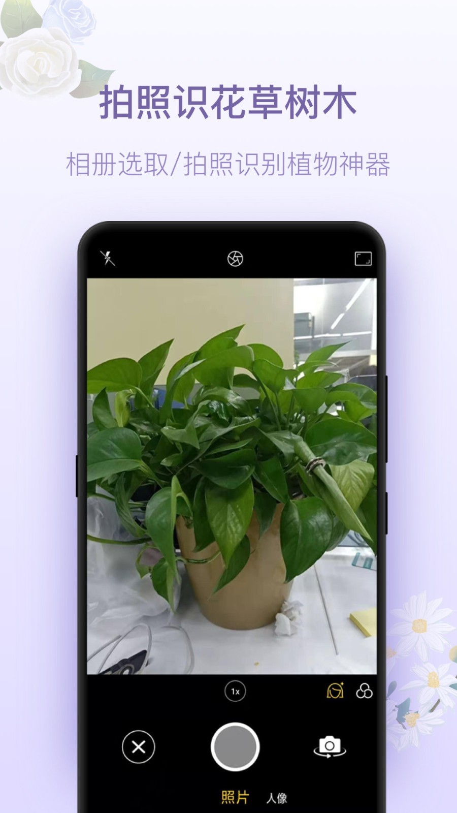 拍照識(shí)花神器官方版