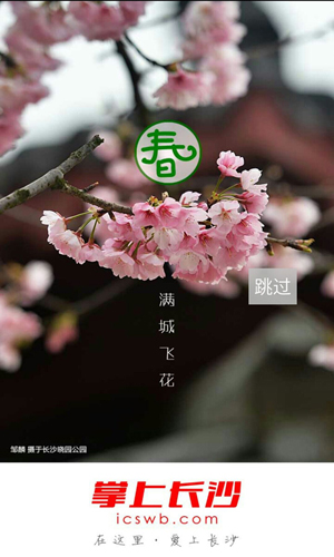 掌上長沙手機官網(wǎng)版