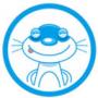 小白數(shù)據(jù)恢復(fù)工具升級(jí)版