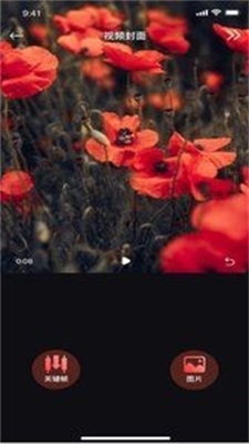 絲瓜編輯安卓最新版