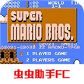 超級瑪麗雙人聯機版