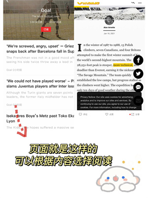 紅板報(bào)優(yōu)化版