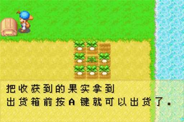 牧場(chǎng)物語(yǔ)礦石鎮(zhèn)的伙伴們手游