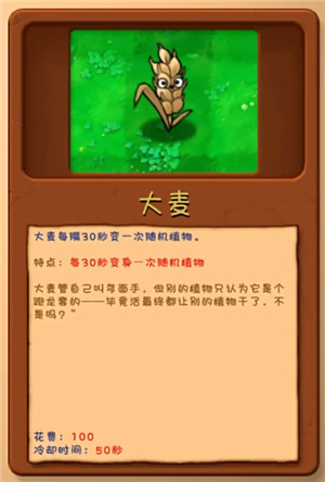 火紅蓮截圖2