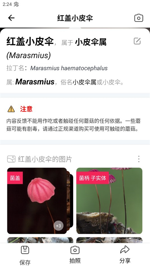 蘑菇識(shí)別掃一掃(Picture Mushroom)