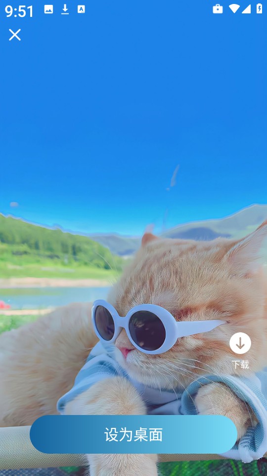 飛羽壁紙高清