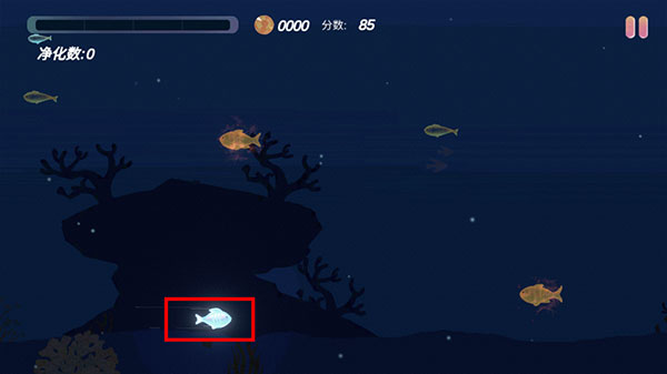 小魚